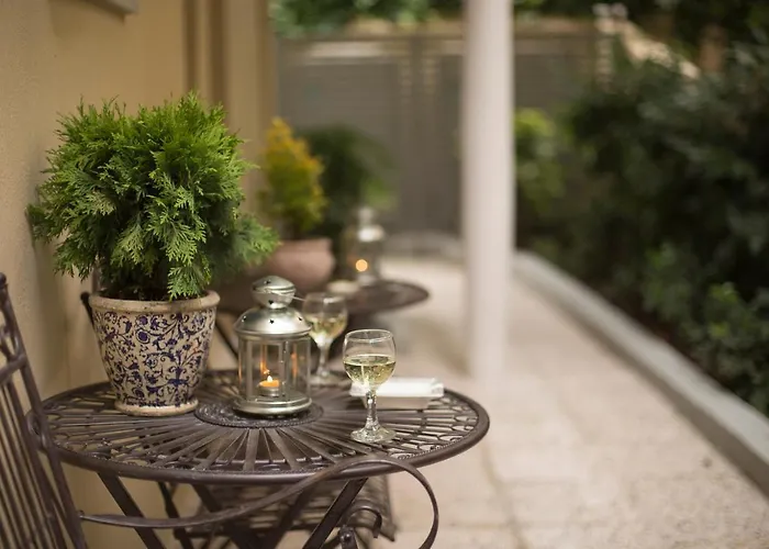 Gatto Perso Luxury And *