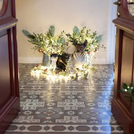 Gatto Perso Luxury Studios And Apartments * テッサロニキ