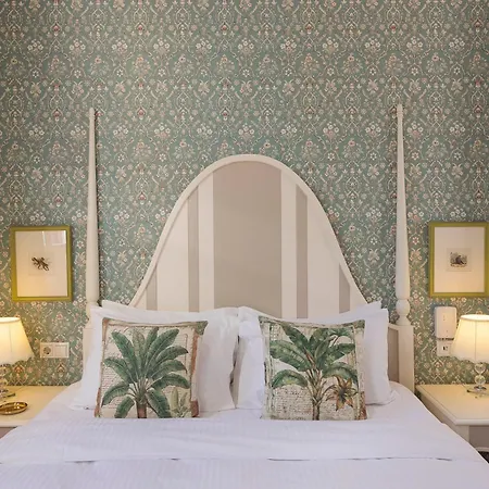 Daire Gatto Perso Luxury And