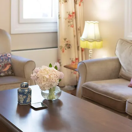 Gatto Perso Luxury And