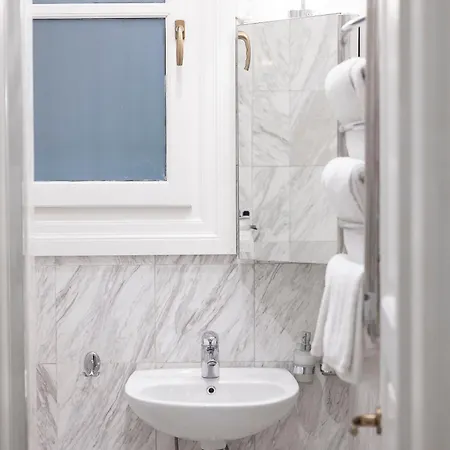 Gatto Perso Luxury And * Selanik