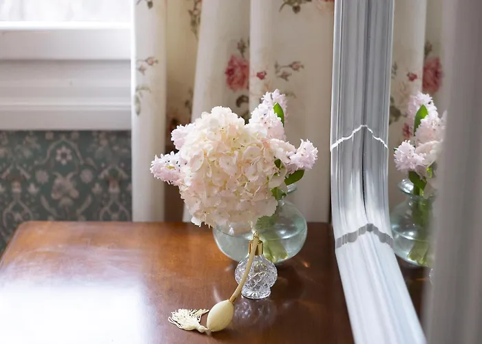 Gatto Perso Luxury And *