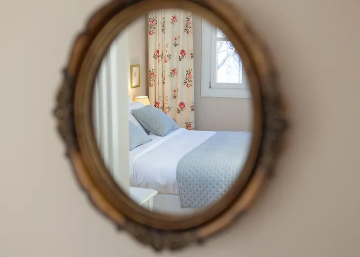 Gatto Perso Luxury And Tesalónica