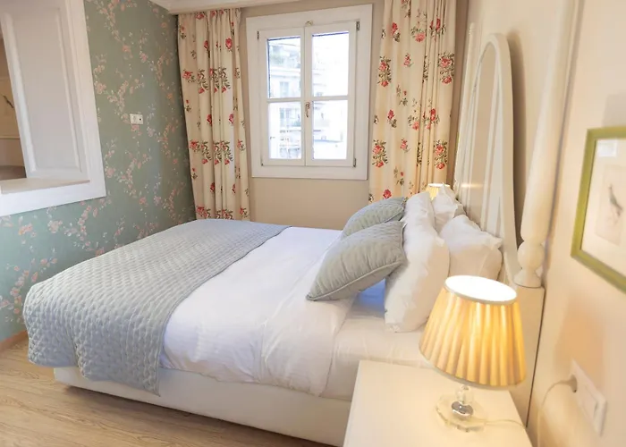 Gatto Perso Luxury And Apartamento