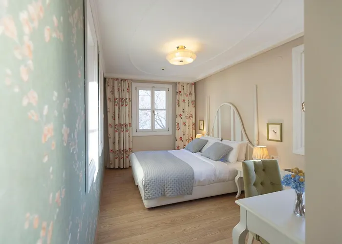 Gatto Perso Luxury And * Tesalónica