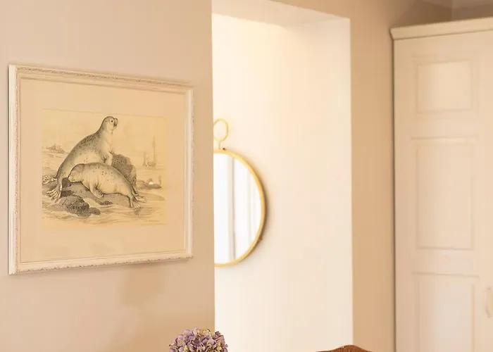 Gatto Perso Luxury And