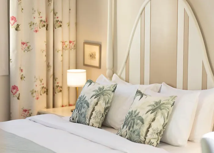 Gatto Perso Luxury And Apartamento