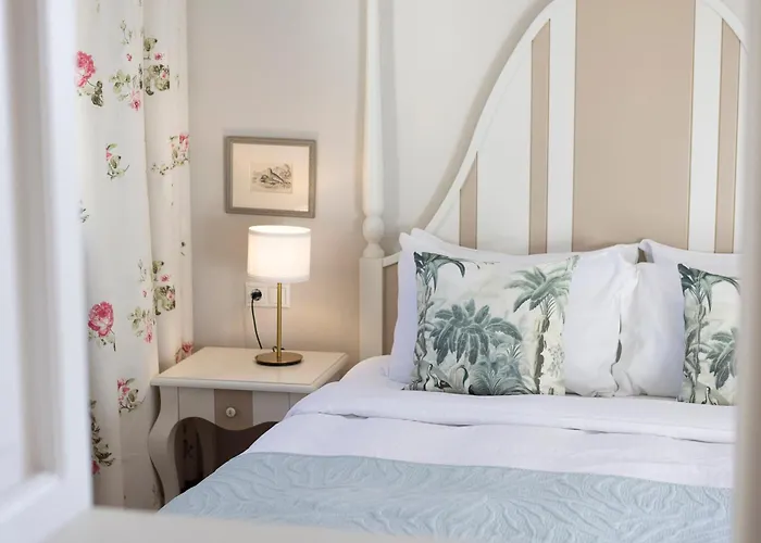 Gatto Perso Luxury And * Θεσσαλονίκη