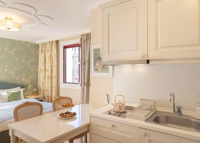 Gatto Perso Luxury And *