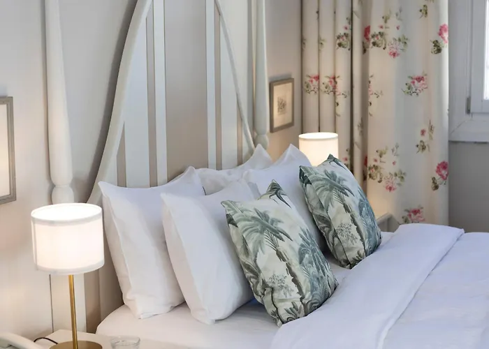 Gatto Perso Luxury And *