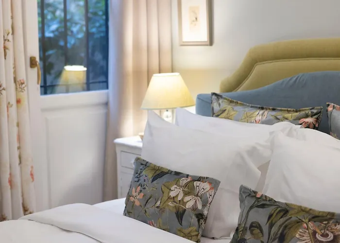 Gatto Perso Luxury And Tesalónica