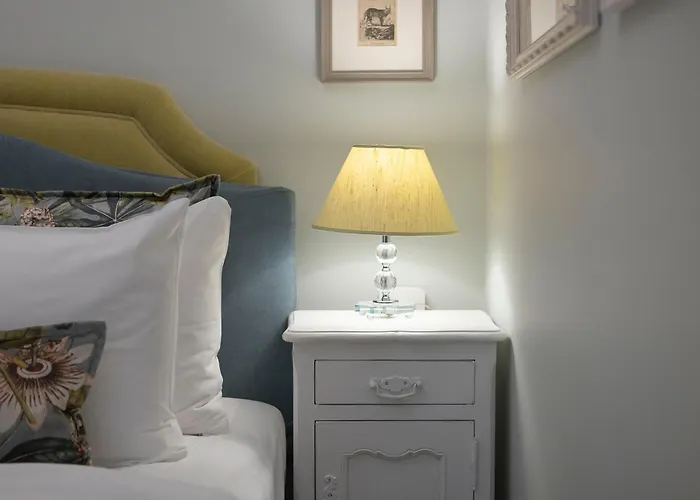 Gatto Perso Luxury And Apartamento *