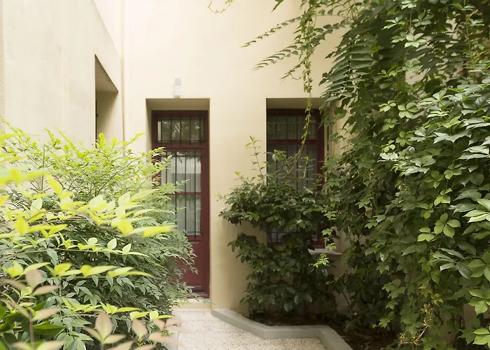 Gatto Perso Luxury And *