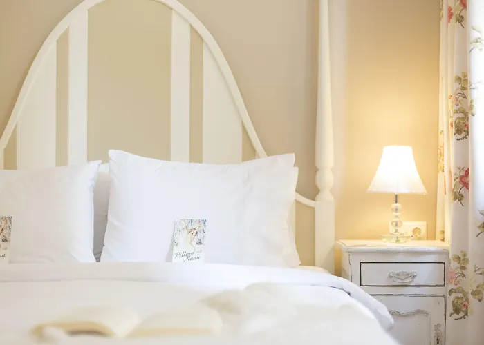 Gatto Perso Luxury And