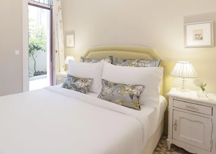 Gatto Perso Luxury And