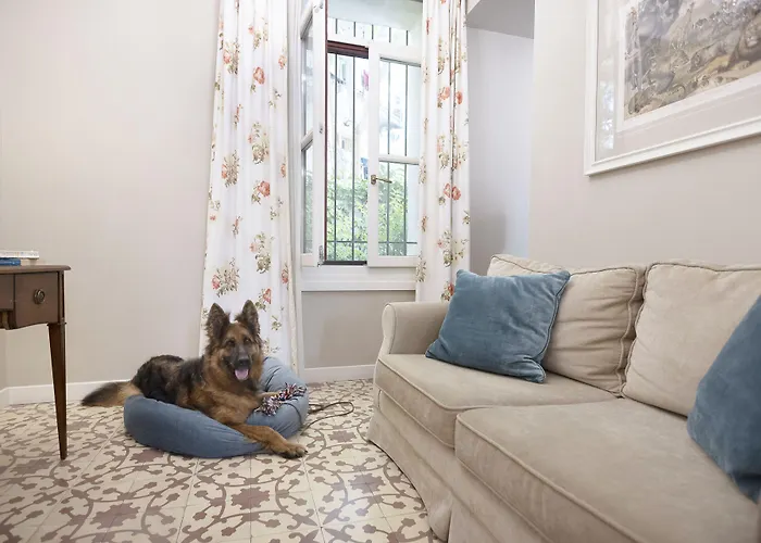 Gatto Perso Luxury And Διαμέρισμα Θεσσαλονίκη