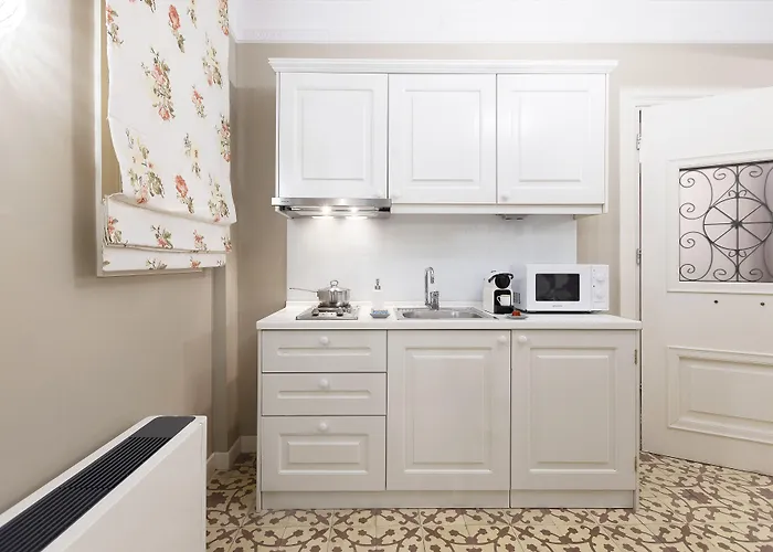 Gatto Perso Luxury And Tesalónica