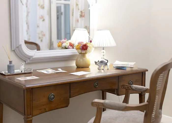 Gatto Perso Luxury And * Tesalónica