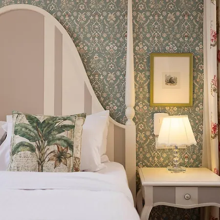 Gatto Perso Luxury And Soluň