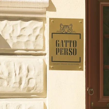 Gatto Perso Luxury And