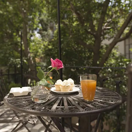 Appartamento Gatto Perso Luxury And *