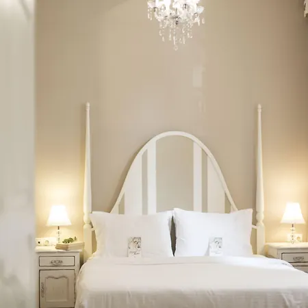 Gatto Perso Luxury And * Salonicco