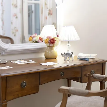 Gatto Perso Luxury And * Salonicco