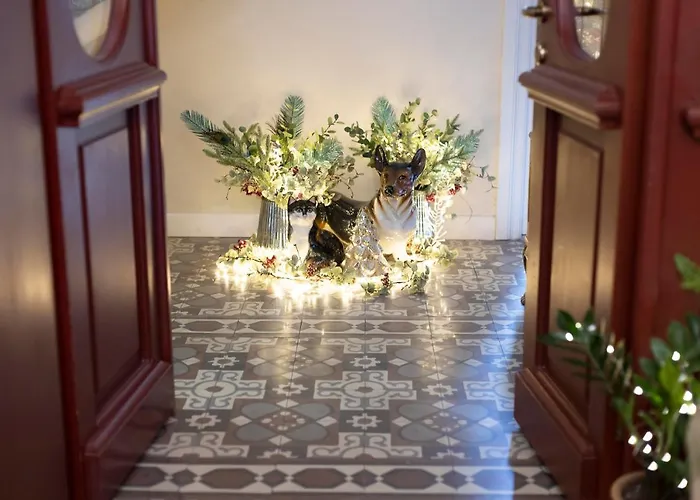 Gatto Perso Luxury And * Salonicco