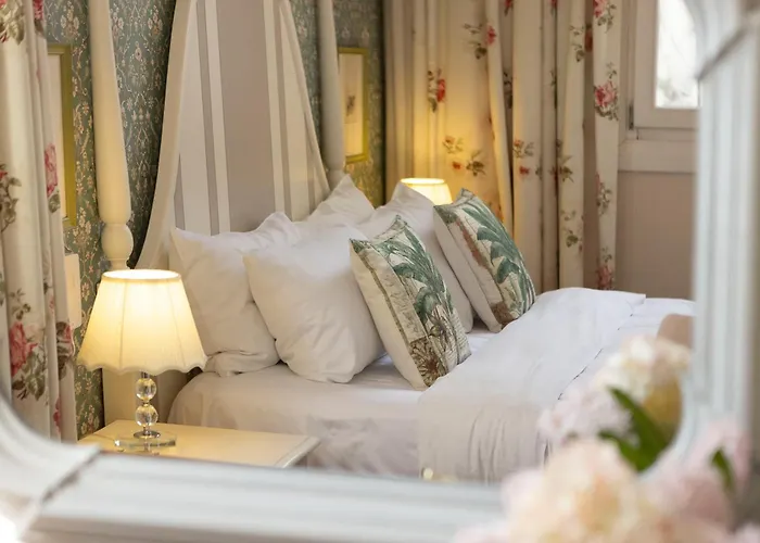 Gatto Perso Luxury And