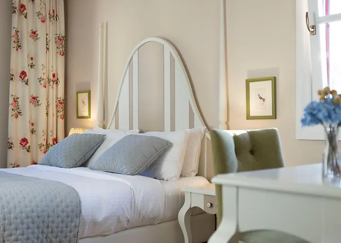 Gatto Perso Luxury And Salonicco