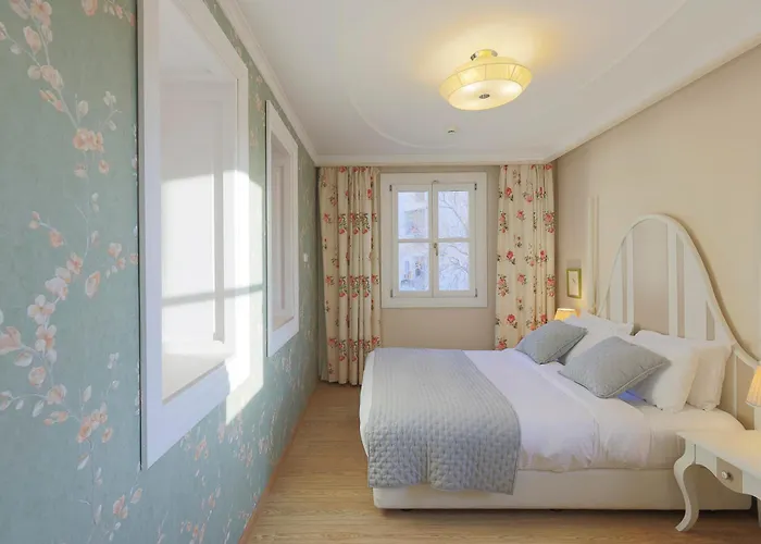 Gatto Perso Luxury And *