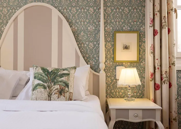 Gatto Perso Luxury And Salonicco