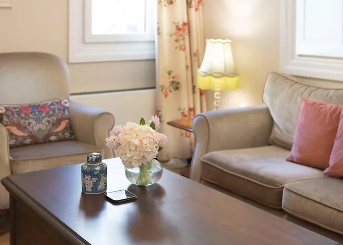 Gatto Perso Luxury And