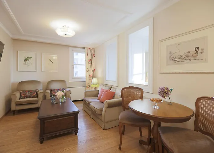 Gatto Perso Luxury And Appartamento