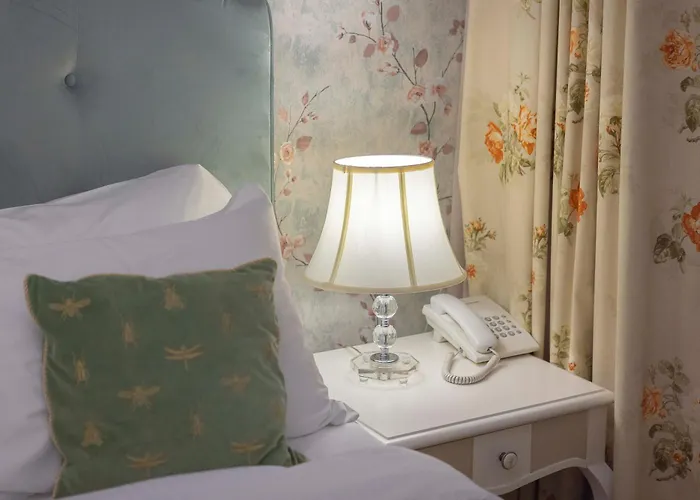 Gatto Perso Luxury And *