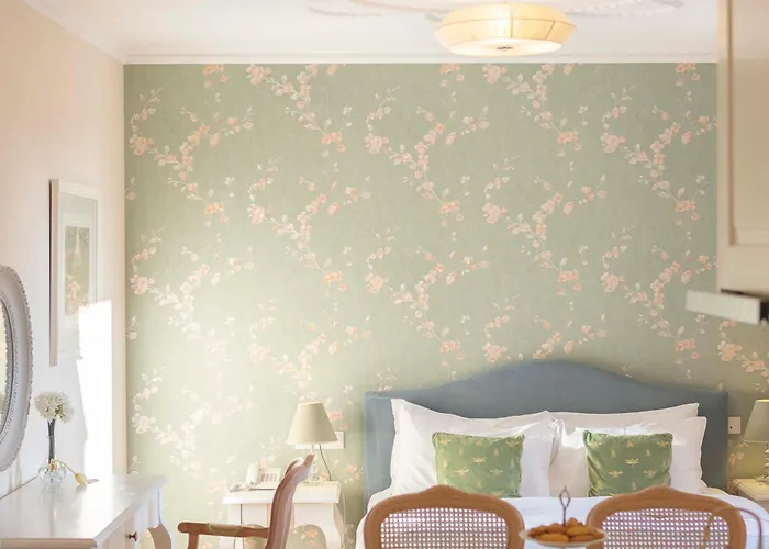 Gatto Perso Luxury And *