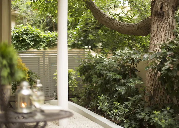 Gatto Perso Luxury And * Salonicco