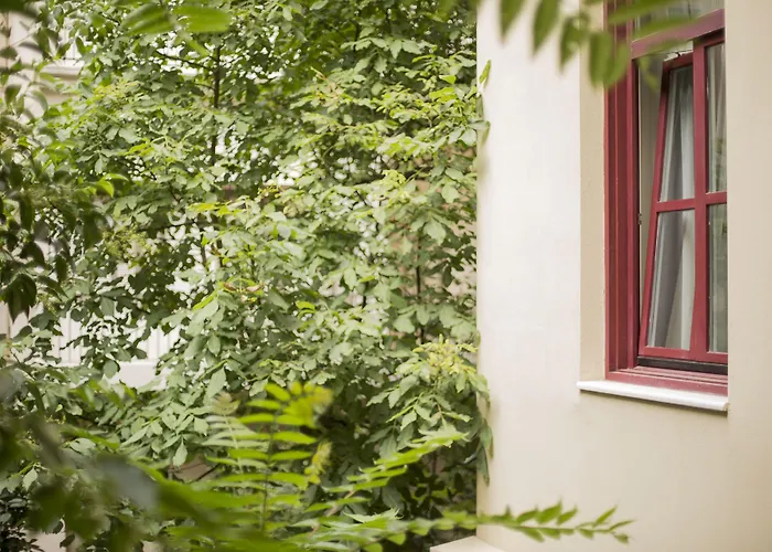 Gatto Perso Luxury And