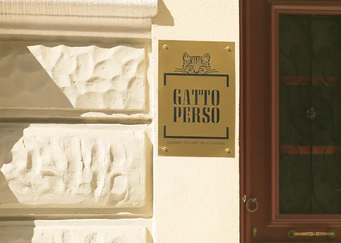 Gatto Perso Luxury And