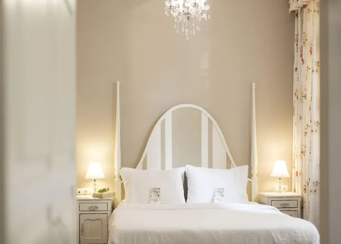 Gatto Perso Luxury And * Salonicco