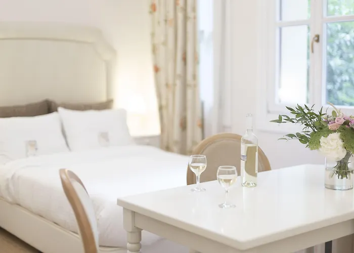 Gatto Perso Luxury And * Salonicco