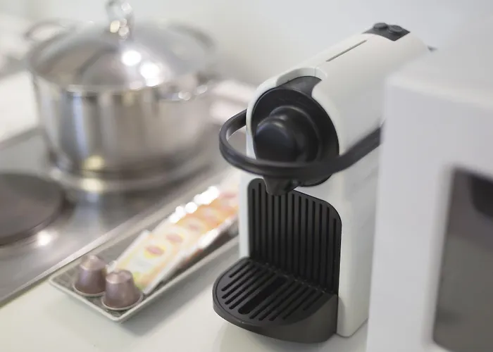 Gatto Perso Luxury And Appartamento